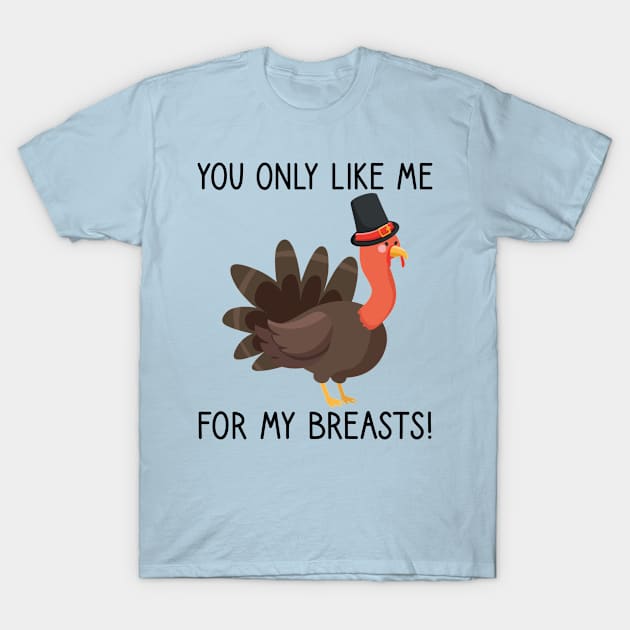 You Only Like Me for My Breasts Funny Thanksgiving T-Shirt by DragonTees